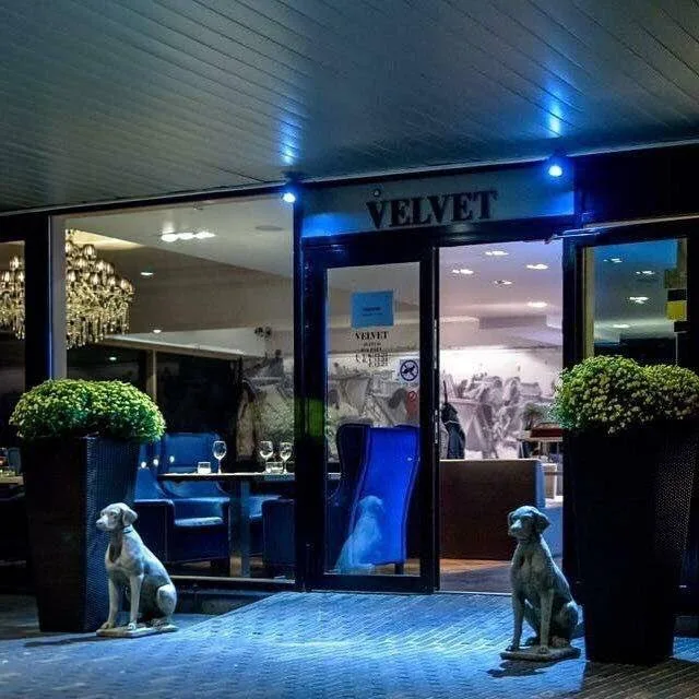 Cafe Velvet